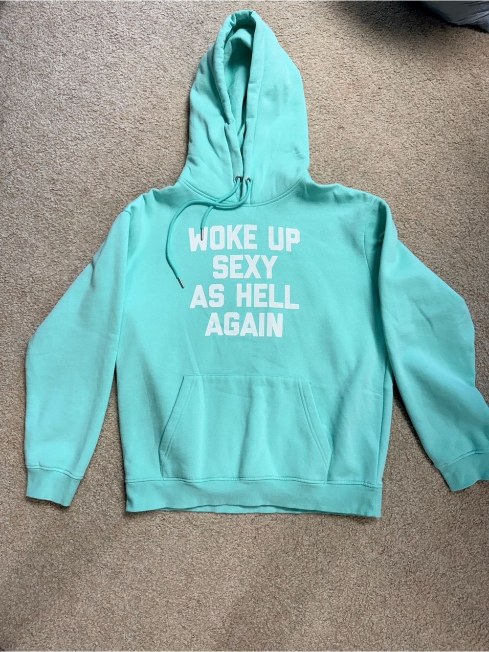 ZYIA Mint Graphic Pullover Hoodie - NWOT